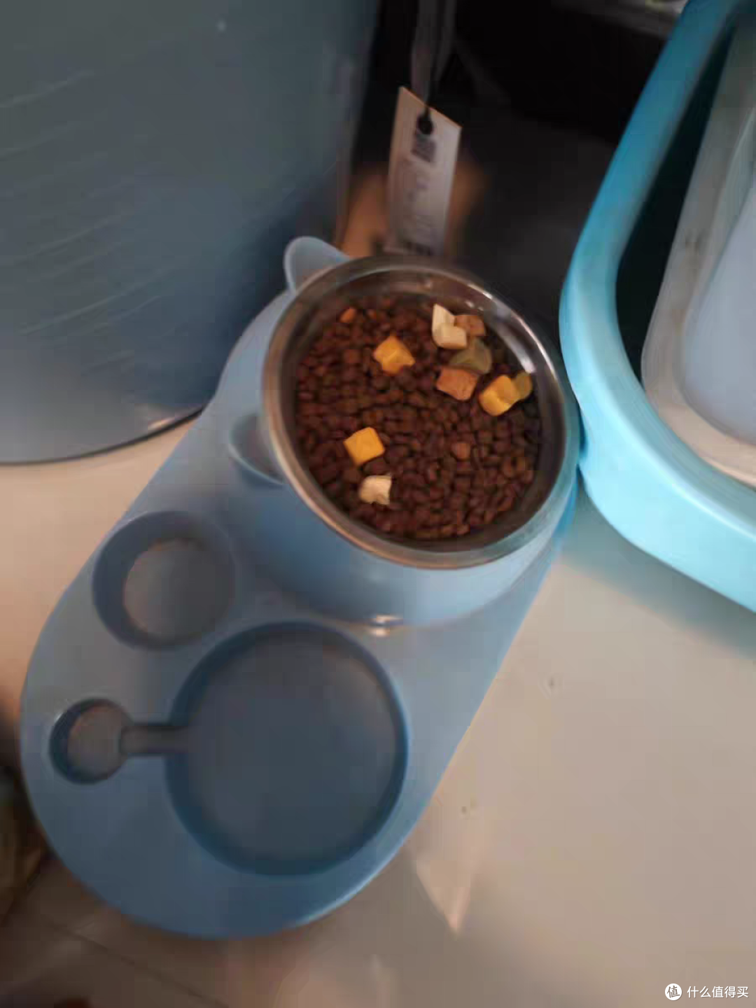 超值萌宠节，我家小猫咪的口粮香喷喷