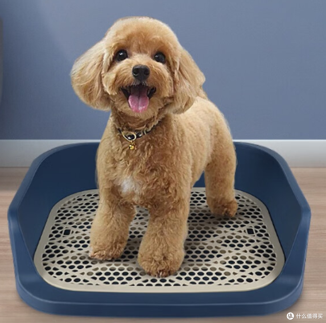 舒适便捷的HELLOJOY狗厕所,犬类宠物最佳卫生解决方案