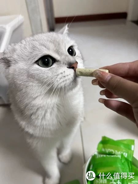 猫有必要吃化毛膏吗？有什么化毛产品可以推荐吗？