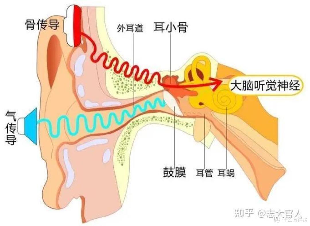 防水运动耳机怎么选?连世界冠军都在用的运动耳机,傅园慧挚爱同款——Runner Pro 4S骨传导运动耳机测评!