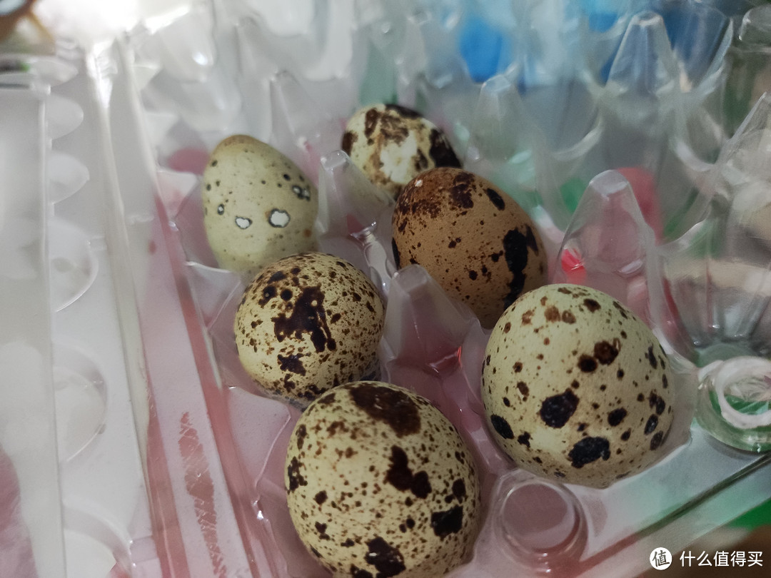 早餐吃什么,来个水煮鸡蛋和鹌鹑蛋吧?