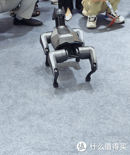 2023 世界机器人博览会 首日逛展