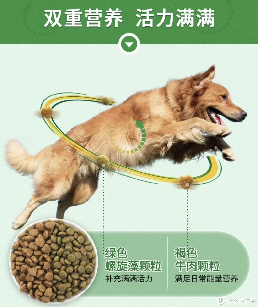 狗狗的健康秘诀！这种狗粮让你的宠物活力满满！