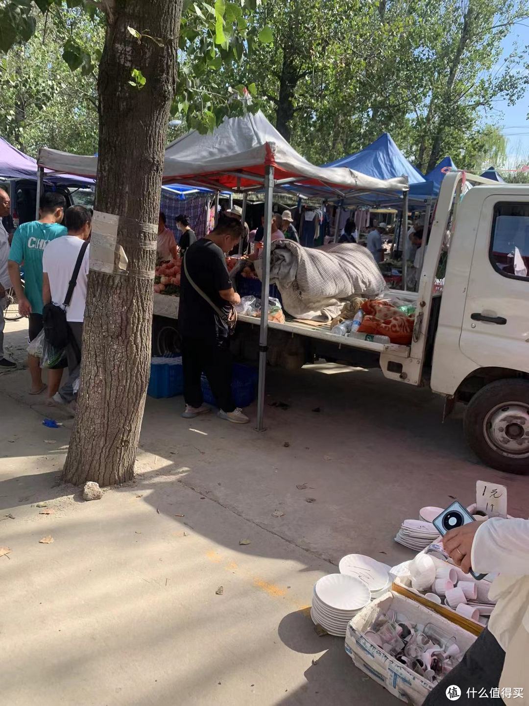 新疆哈密瓜自由！这个集市只要10元4斤