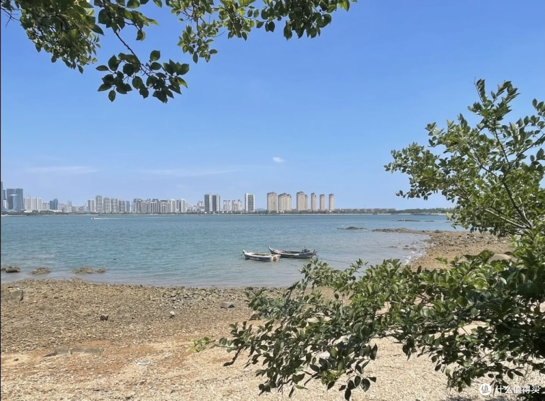 唐岛湾公园，骑行新体验！快来感受海风拂面的畅快之旅！