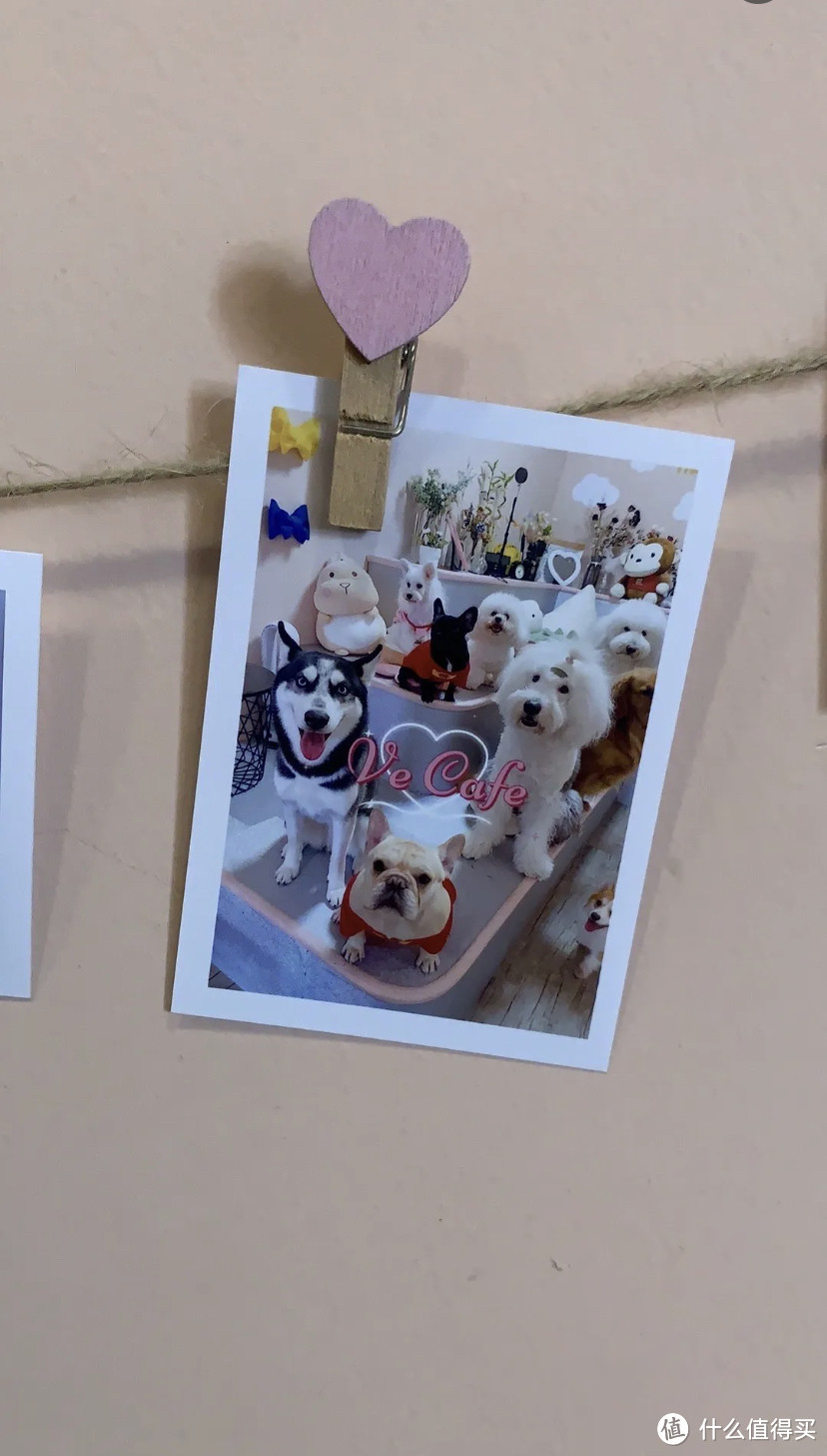 狗狗主题宠物咖啡厅，与明星狗狗一起享受悠闲下午茶！