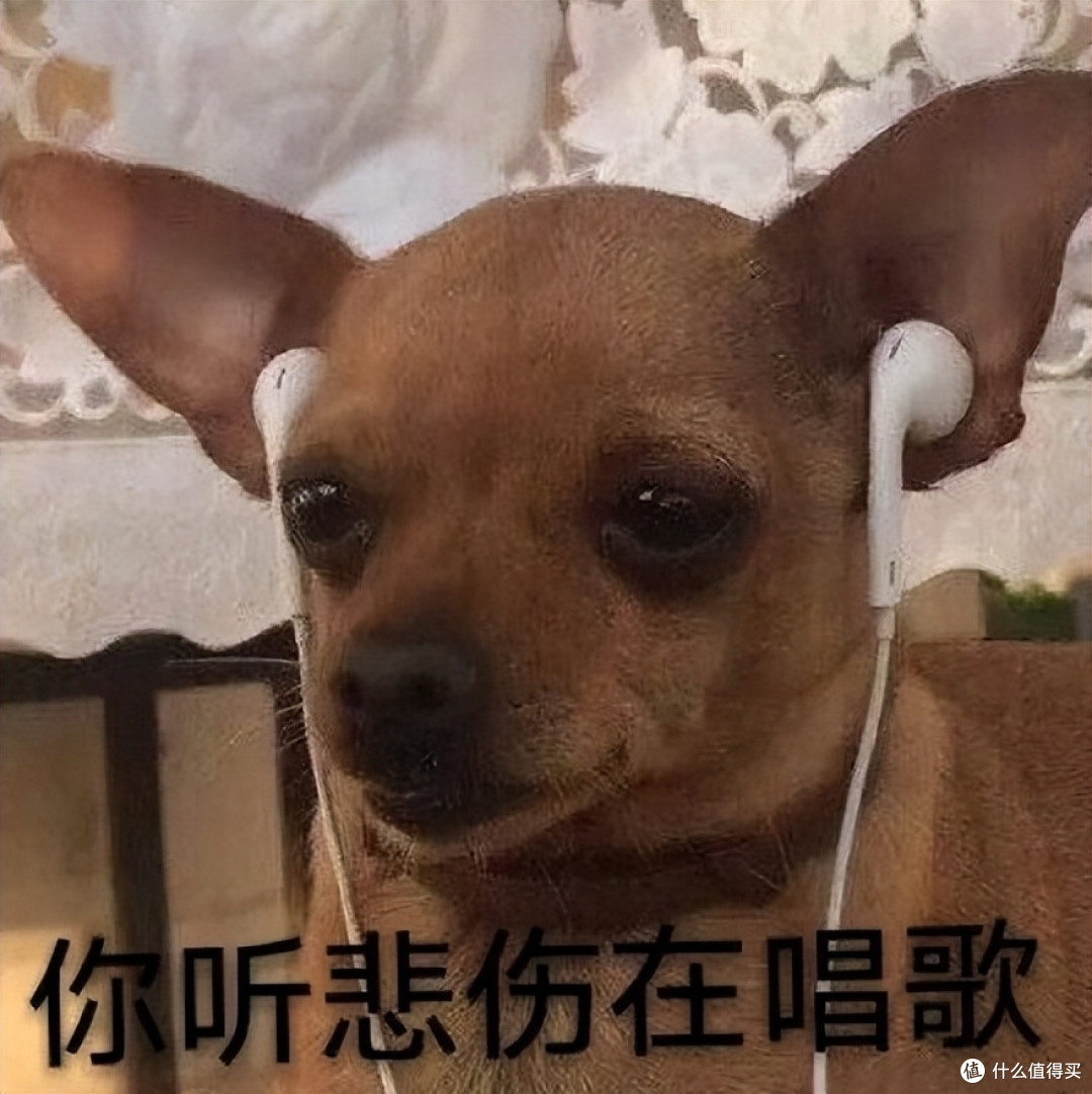 终于等到了！用绿联私有云免费畅听周董全曲目！