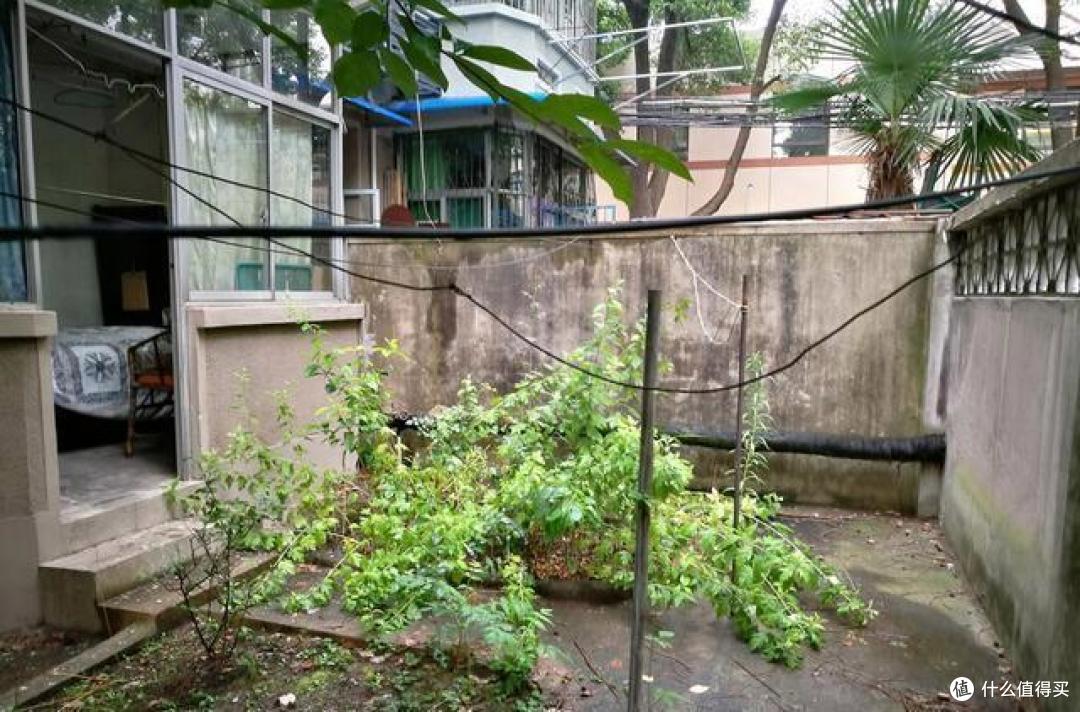 院子里搭雨棚,二楼却不干了,原来鸟语花香的院子并没那么“香”