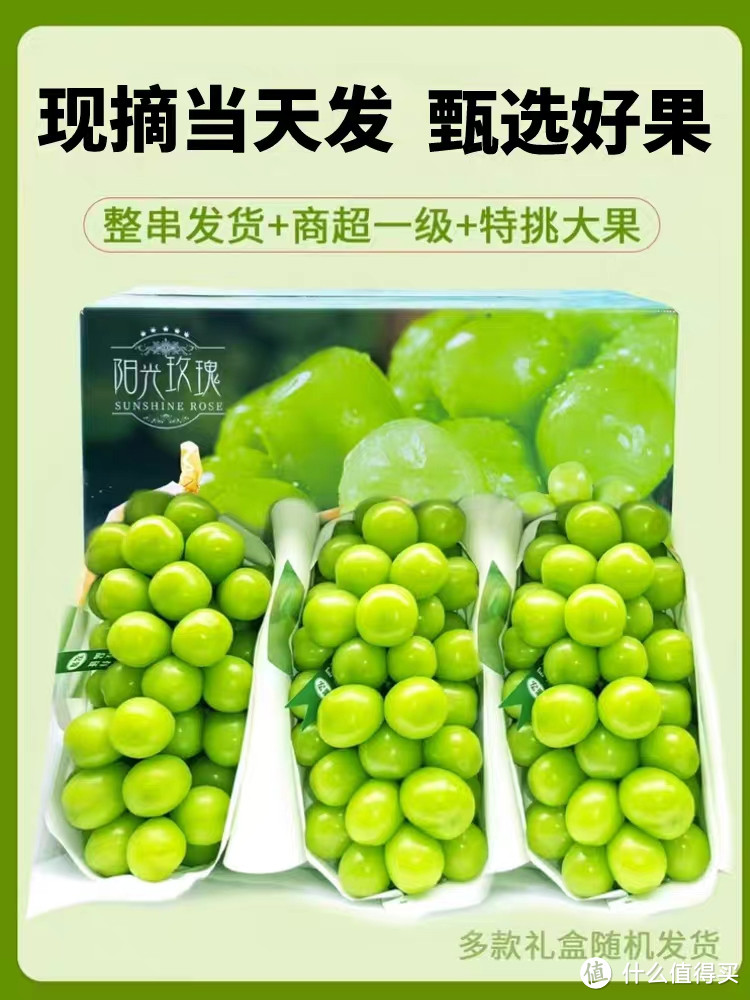 美味与健康并存,阳光玫瑰葡萄让你爱上水果!超值!超甜!