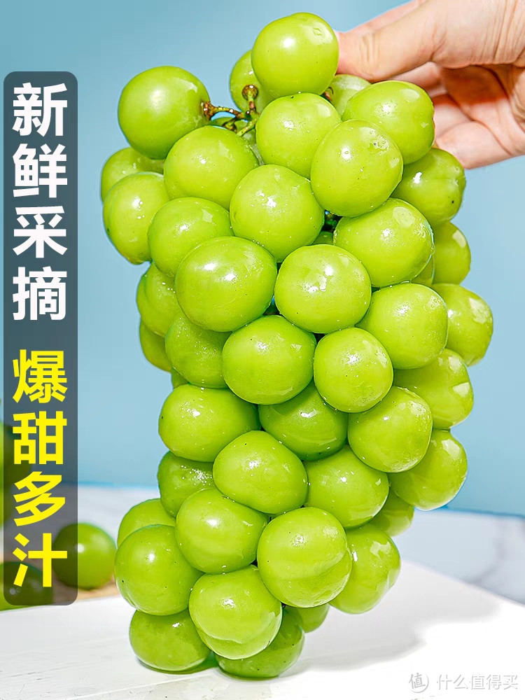 美味与健康并存,阳光玫瑰葡萄让你爱上水果!超值!超甜!
