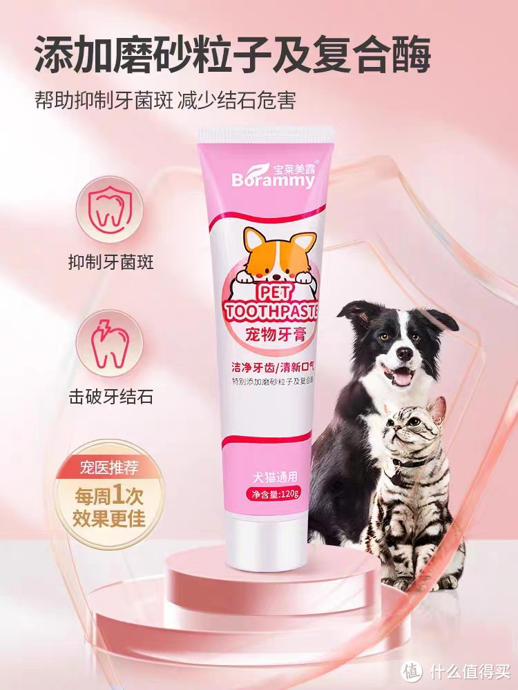 狗狗的牙齿也需要呵护！快来了解如何给你的宠物刷牙吧！