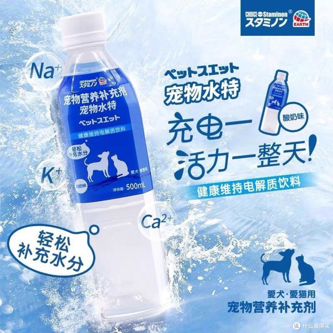 夏季宠物防暑神器！！！