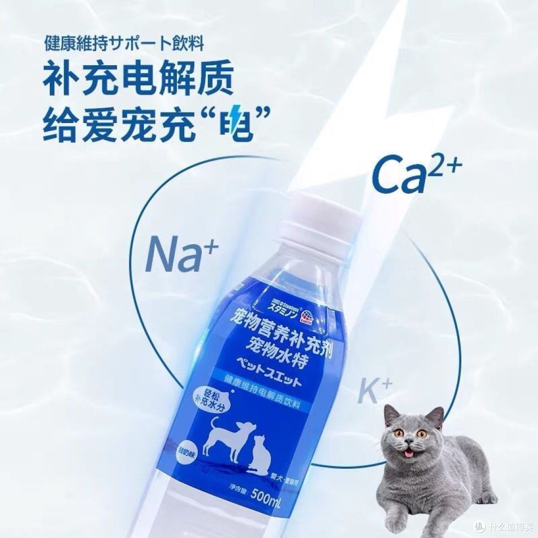 夏季宠物防暑神器！！！