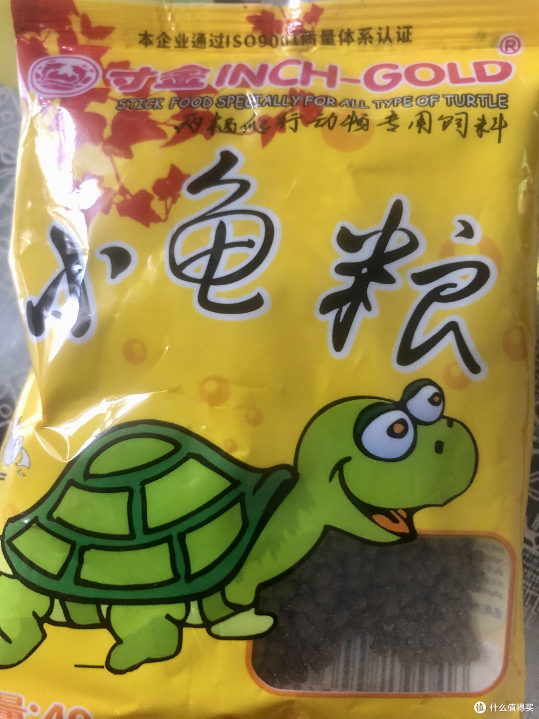 时光荏苒,岁月如梭。小乌龟已经4岁了!