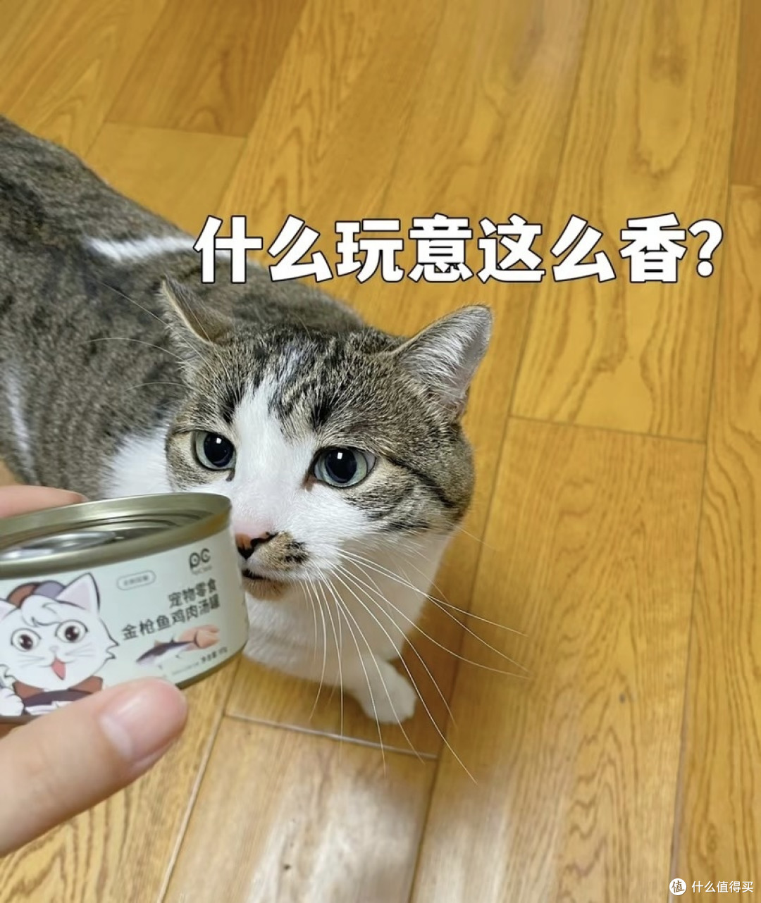 以下是关于宠物猫鸡肉罐头的一些常见信息