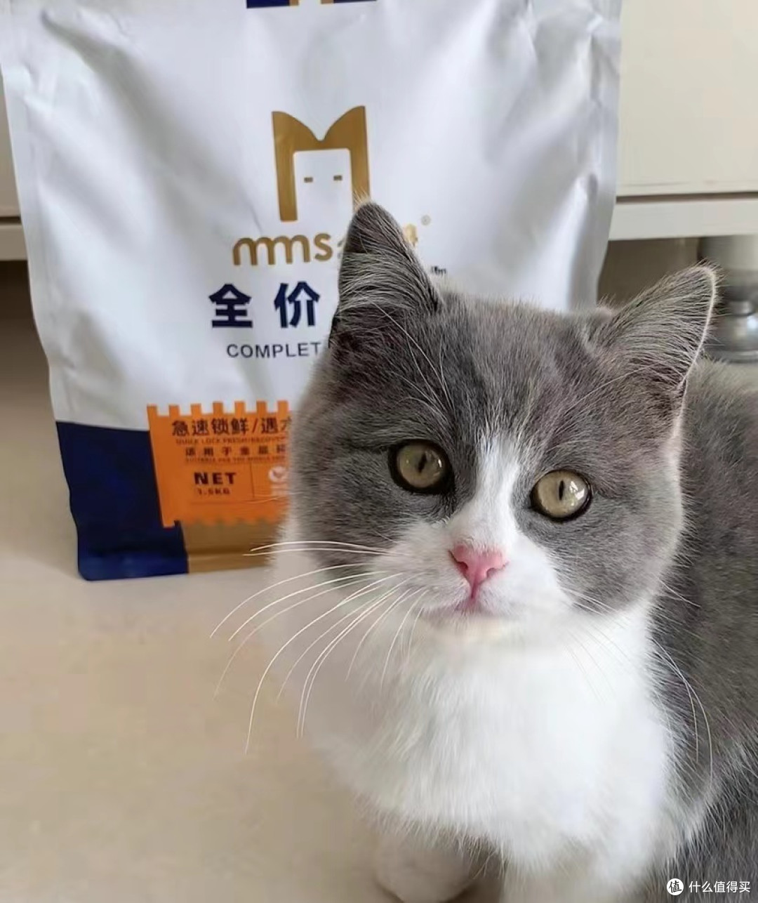 "么么兽"猫粮是为猫咪设计的宠物食品，旨在提供均衡的营养，满足猫咪的生长、健康和活力所需。