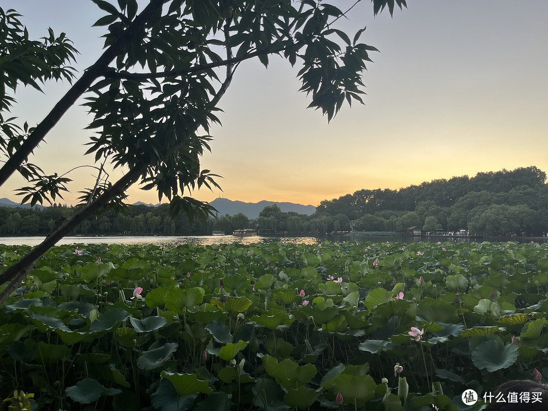 杭州我来了第一站逛西湖