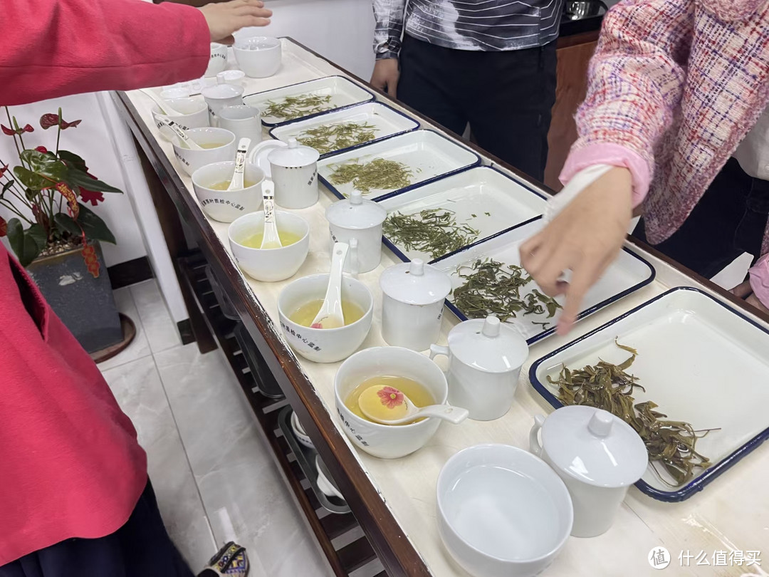 每天认识一个茶叶品牌-茶莉斯顿英德红茶