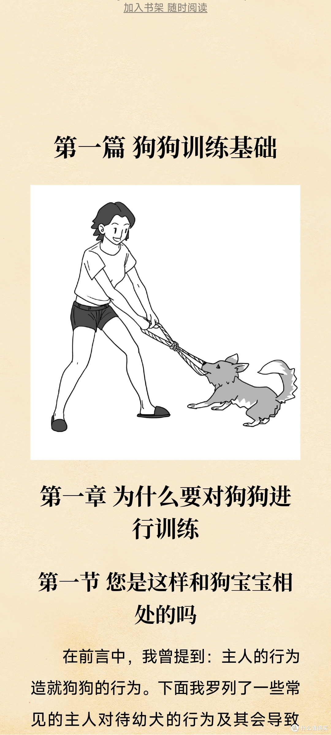 宠物培训:让宠物更健康、快乐和有教养