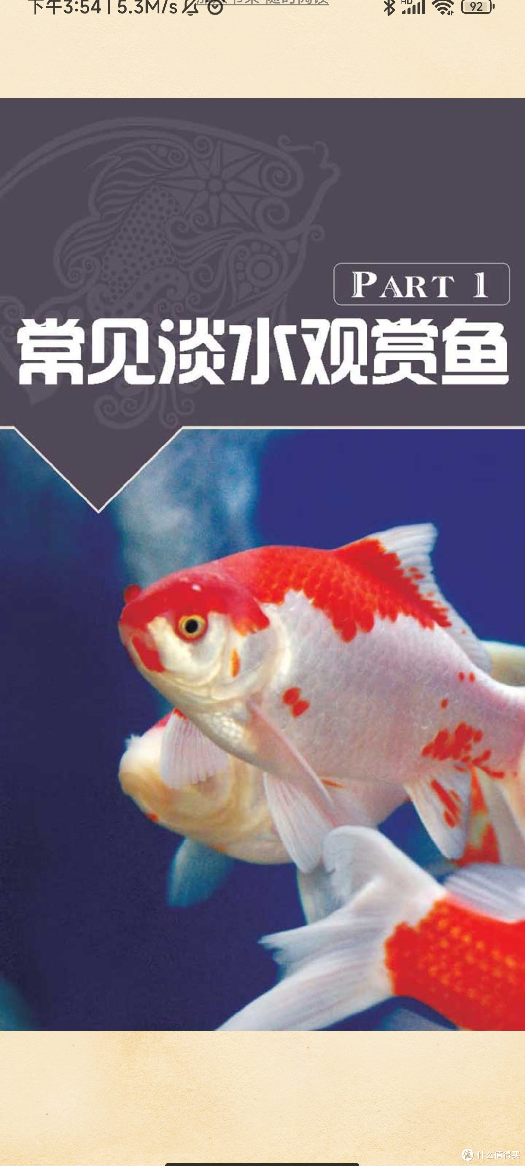 淡水鱼饲养:一种家庭水族乐趣
