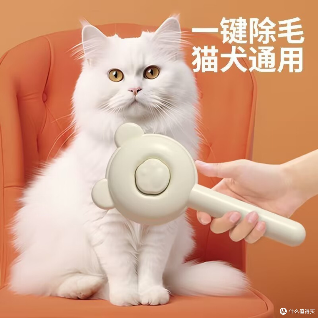 家有宠物必备的一些宠物用品