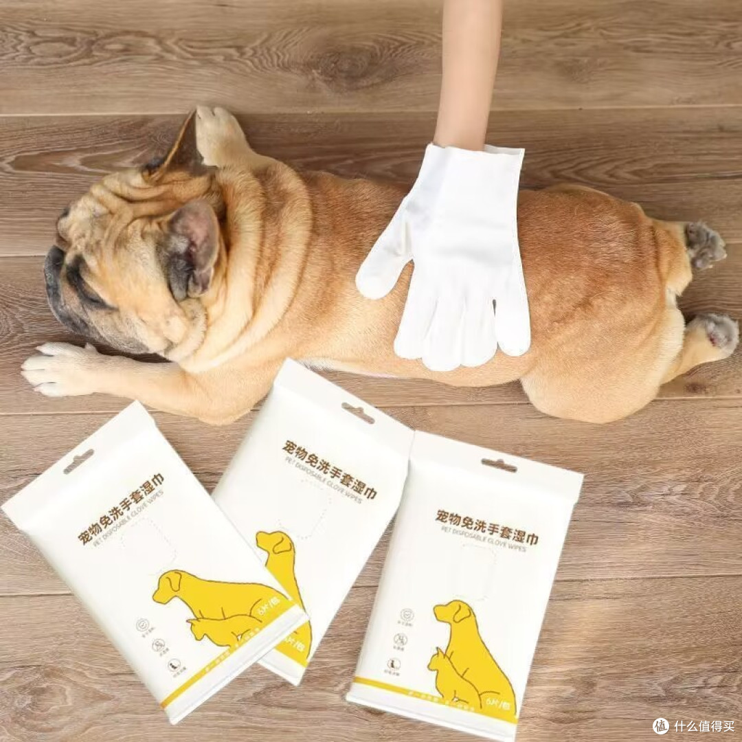 家有宠物必备的一些宠物用品