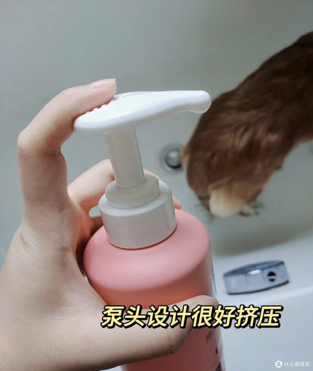 ​使用宠物狗专用沐浴露时，需要注意以下步骤和方法，以确保沐浴过程顺利和安全​