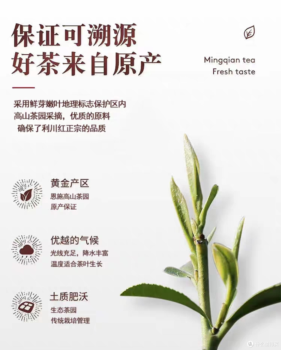 中国红茶,除了滇红,正山小种,还有其他种类,比如利川红