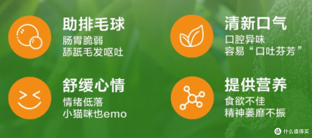 网易严选猫薄荷饼干：为爱宠带来的清新与健康