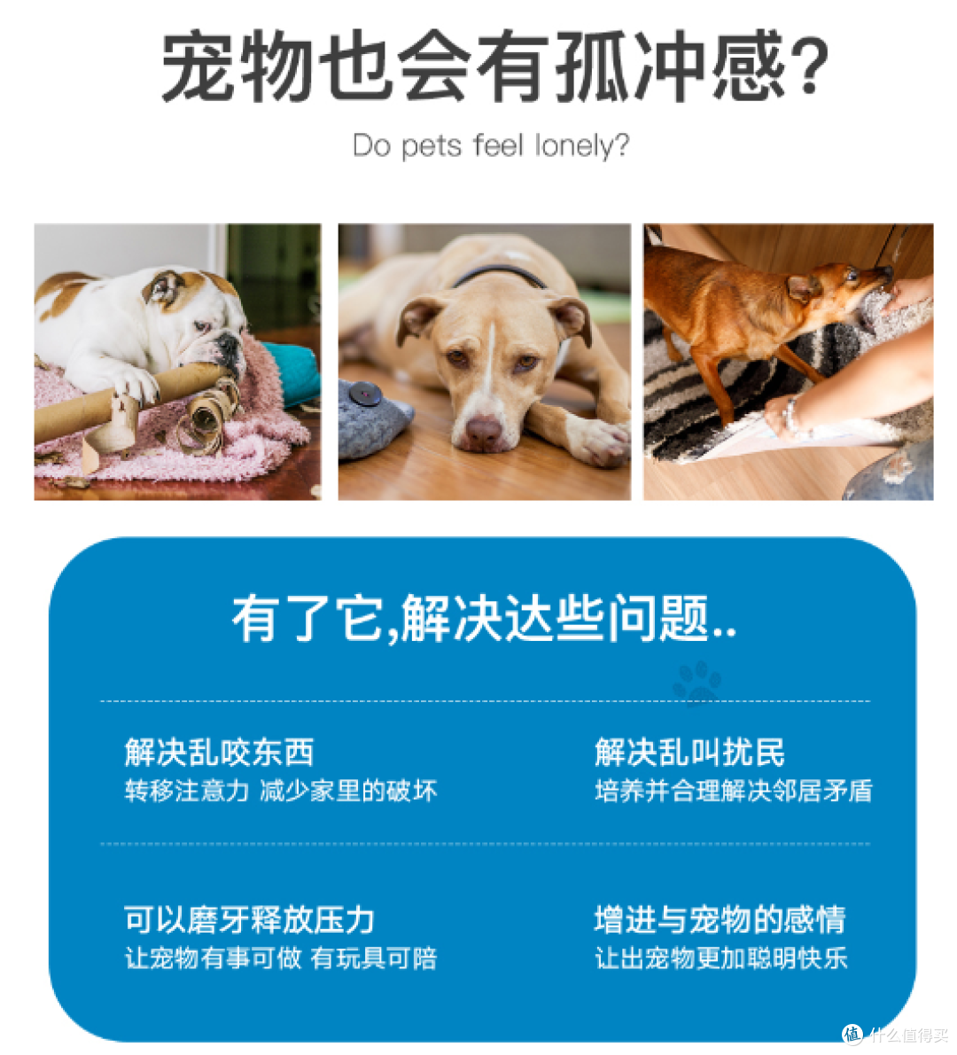 宠物用品推荐：憨憨乐园狗狗玩具宠物棉绳耐咬五件套，互动训练&amp;狗狗磨牙用品