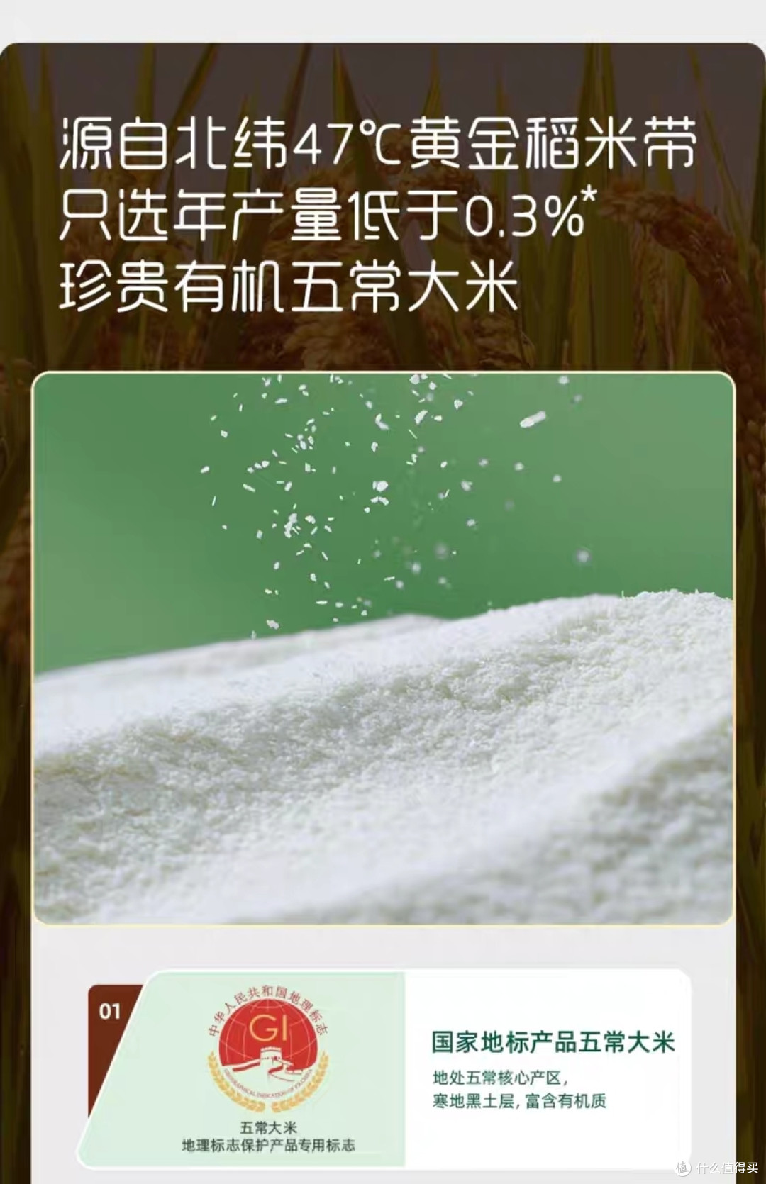 婴儿辅食，你选对了吗？一篇文章告诉你答案
