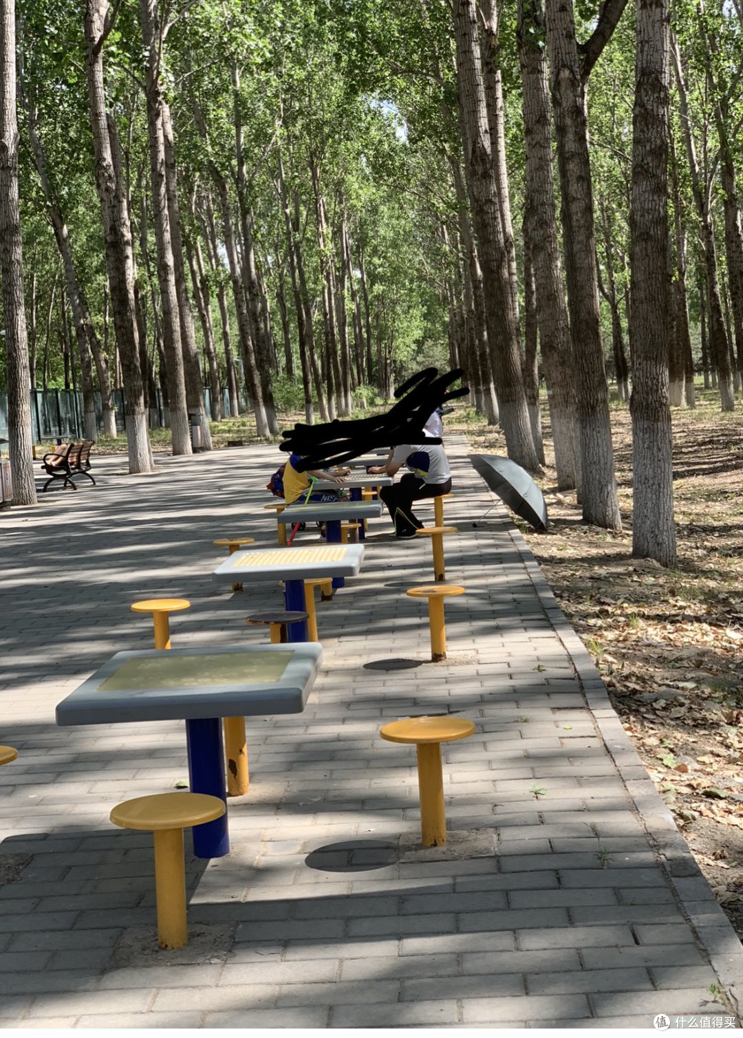 开学前的放纵—带孩子们踢球玩沙子享受大自然的乐趣
