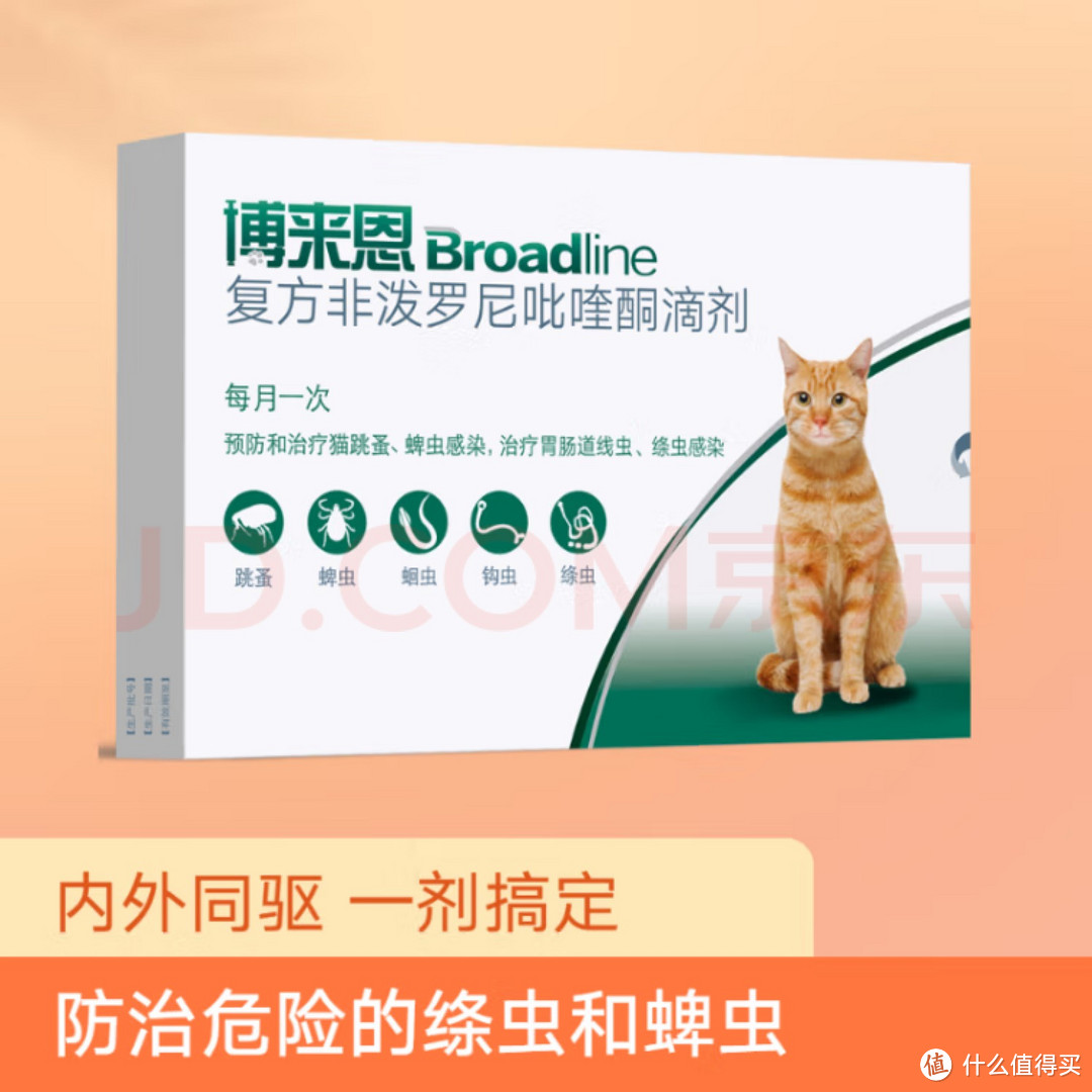 犬猫驱虫药到底怎么选？