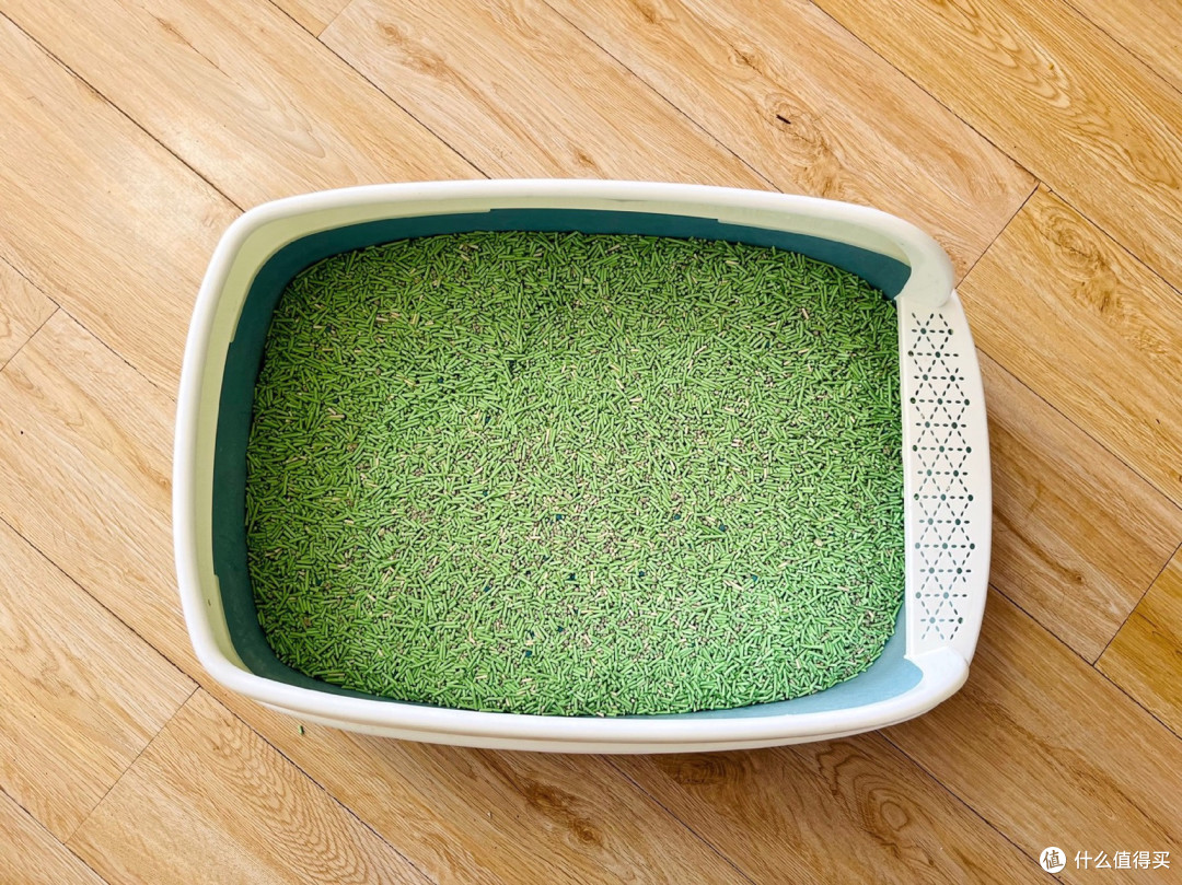 养猫咪一定要必备猫砂盆