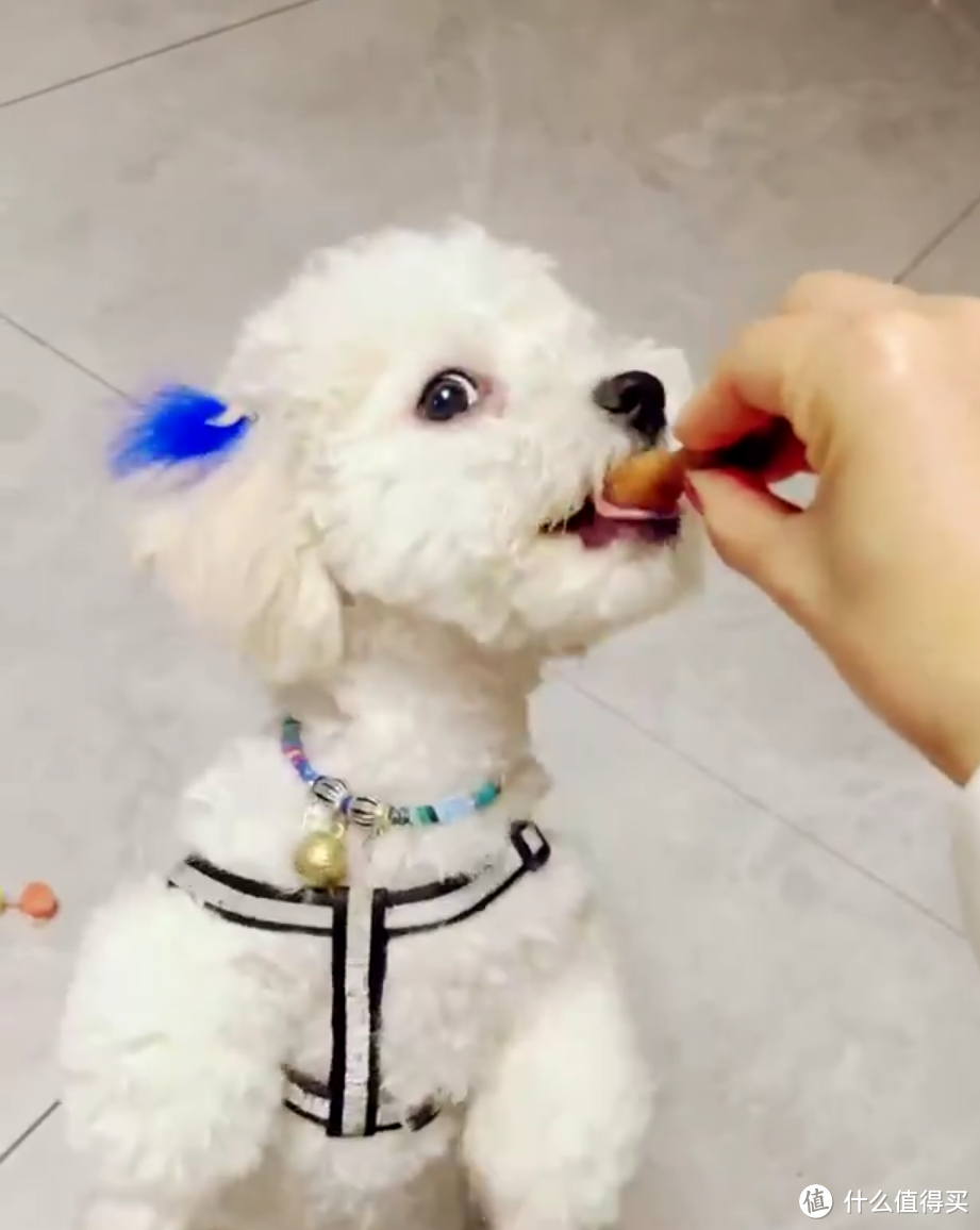 这个宠物磨牙棒不仅仅可以给狗狗磨牙，还可以为狗狗补钙