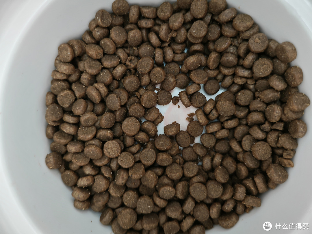 猫咪爱吃爱玩的秘密揭晓!这些美食和玩具让你的宠物欲罢不能
