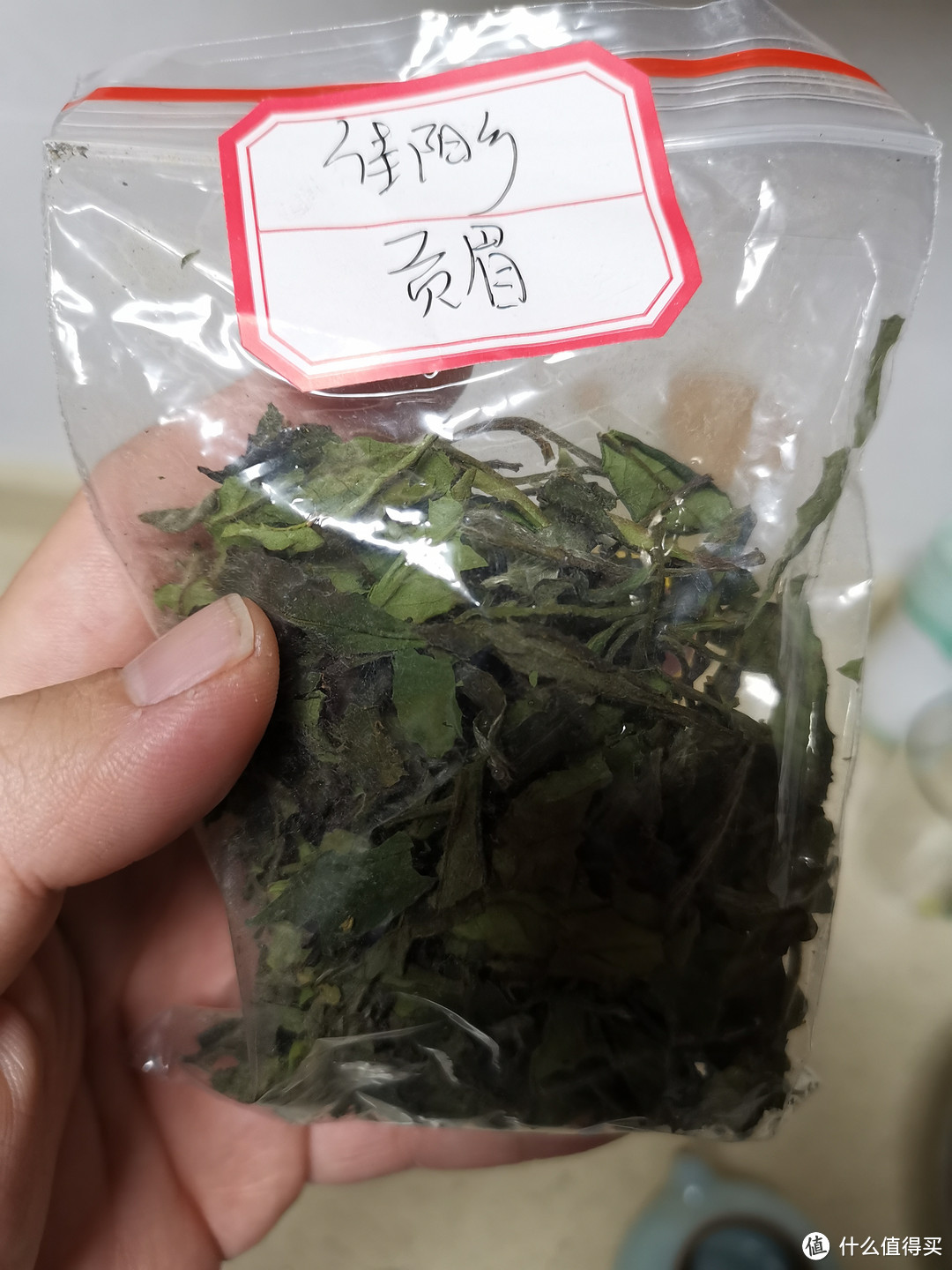 震惊！新年快乐！喝到冰岛古树头春啦！