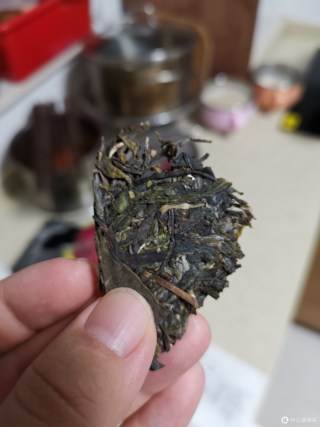 震惊！没想到吧我又更新了！雨婷家！老唐家！