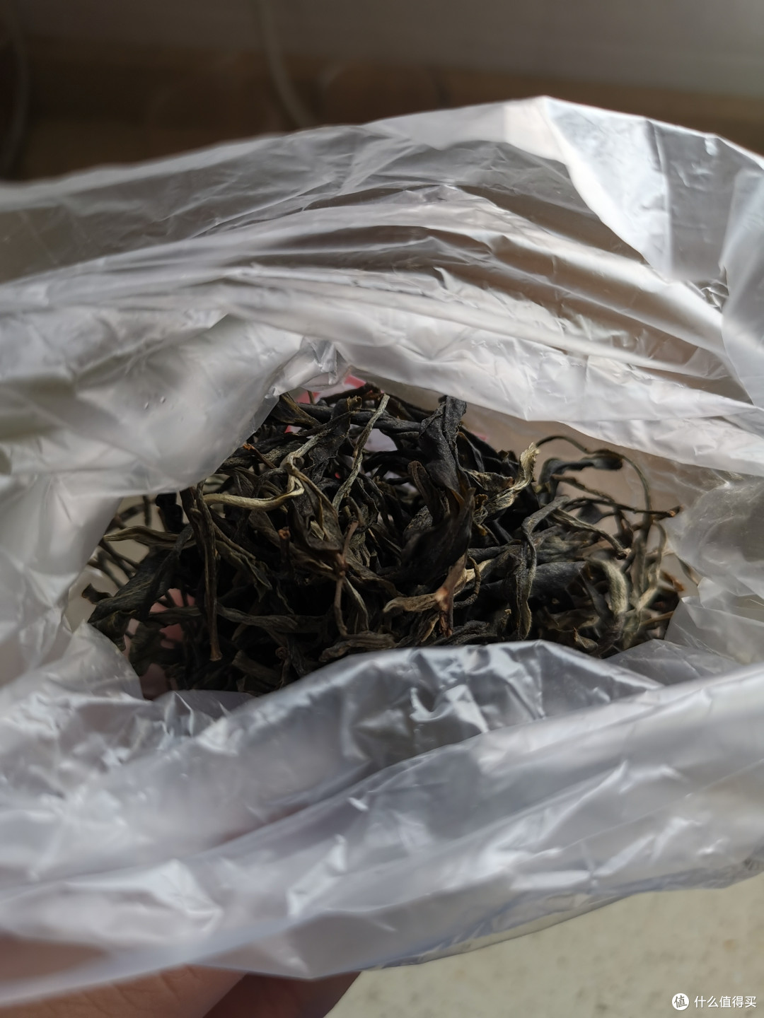 震惊！没想到吧我又更新了！雨婷家！老唐家！