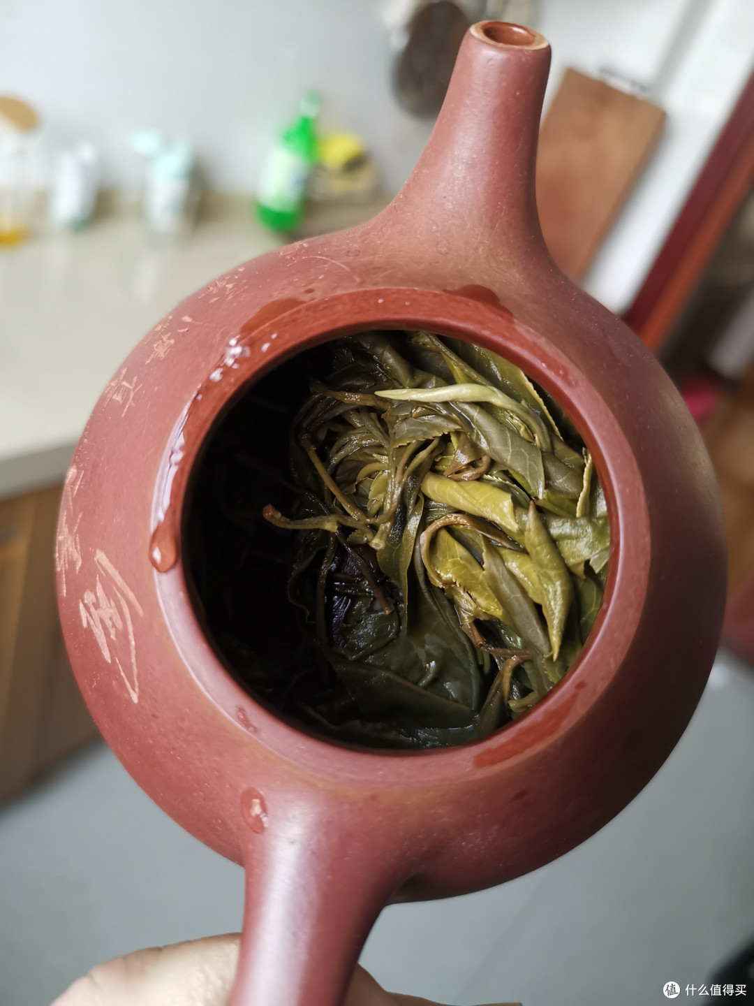 震惊！没想到吧我又更新了！雨婷家！老唐家！