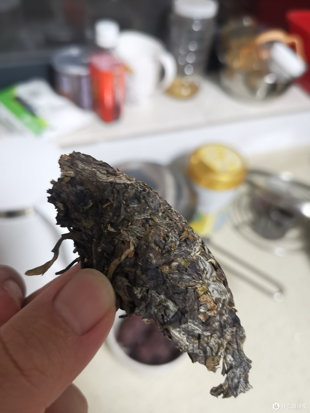 震惊！没想到吧我又更新了！雨婷家！老唐家！