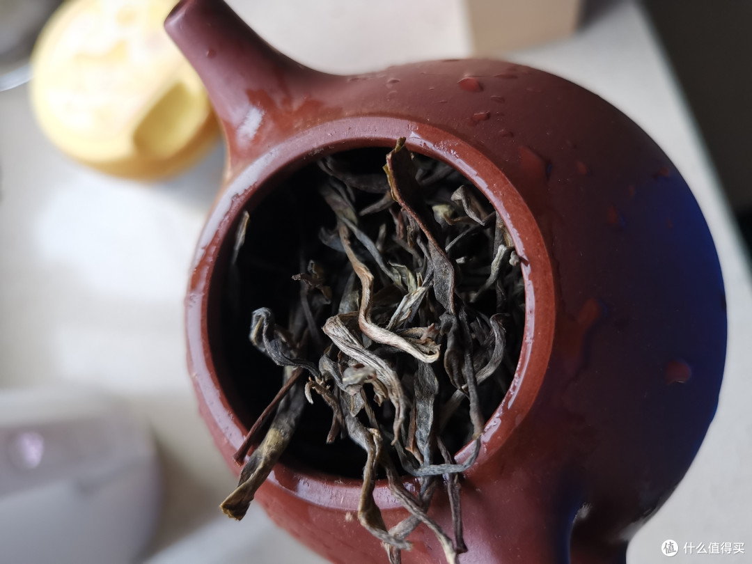 震惊！没想到吧我又更新了！雨婷家！老唐家！