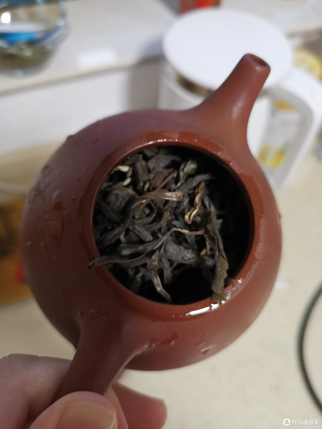 震惊！没想到吧我又更新了！雨婷家！老唐家！