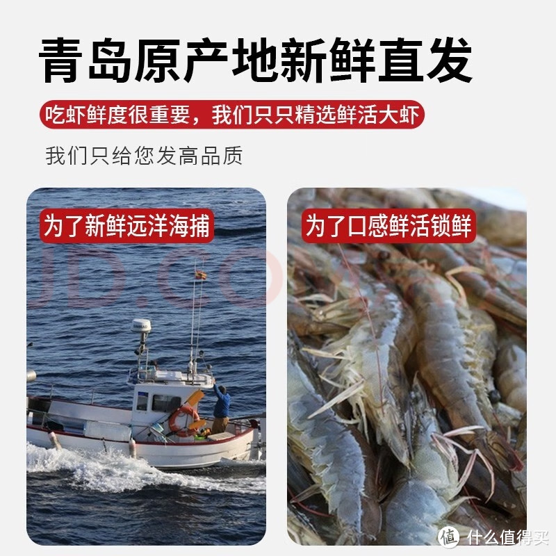 青岛海捕大虾，冷冻生鲜，享受海鲜盛宴，尽在青虾白虾海虾！