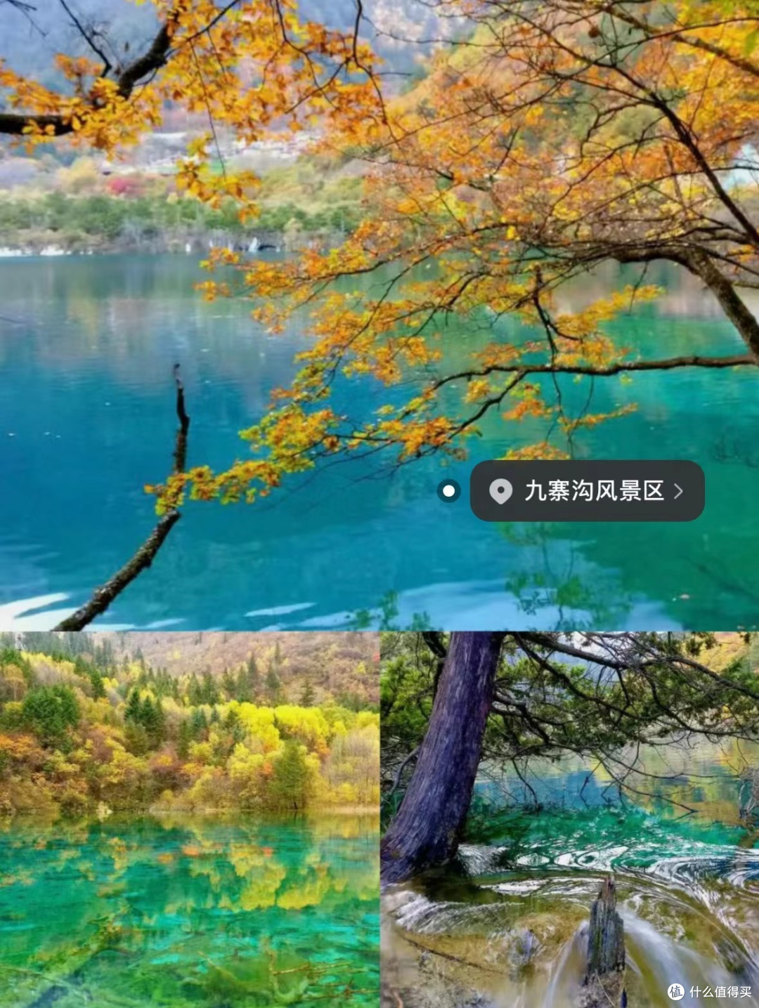 9-11月最美赏秋🍂旅游目的地推荐❗