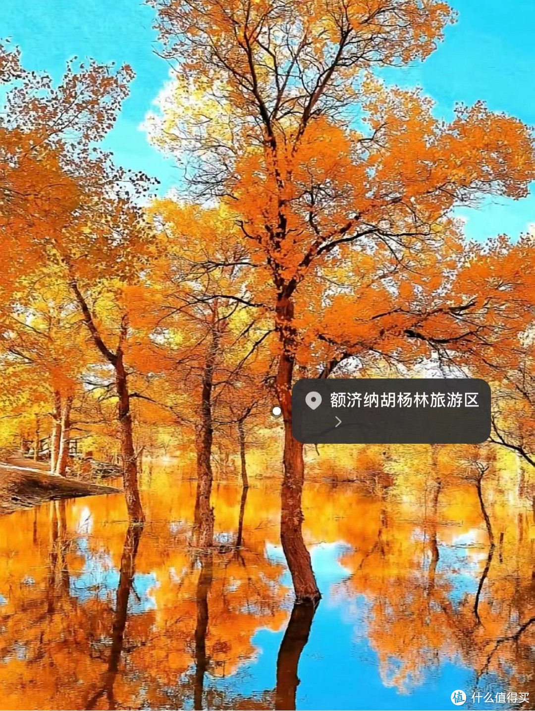 9-11月最美赏秋🍂旅游目的地推荐❗
