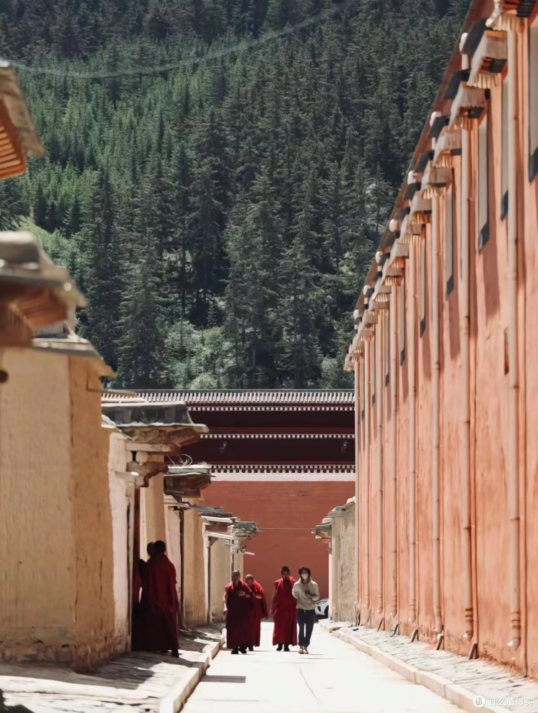 终于有人把甘南旅游攻略说明白了