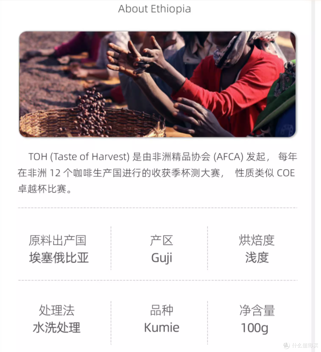 幸鹿最新埃塞冠军TOH咖啡豆实测如何，日晒/水洗还买一送一