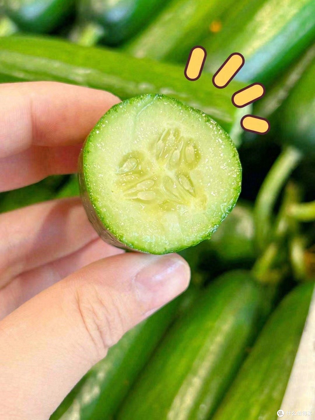 夏日减脂必吃水果黄瓜