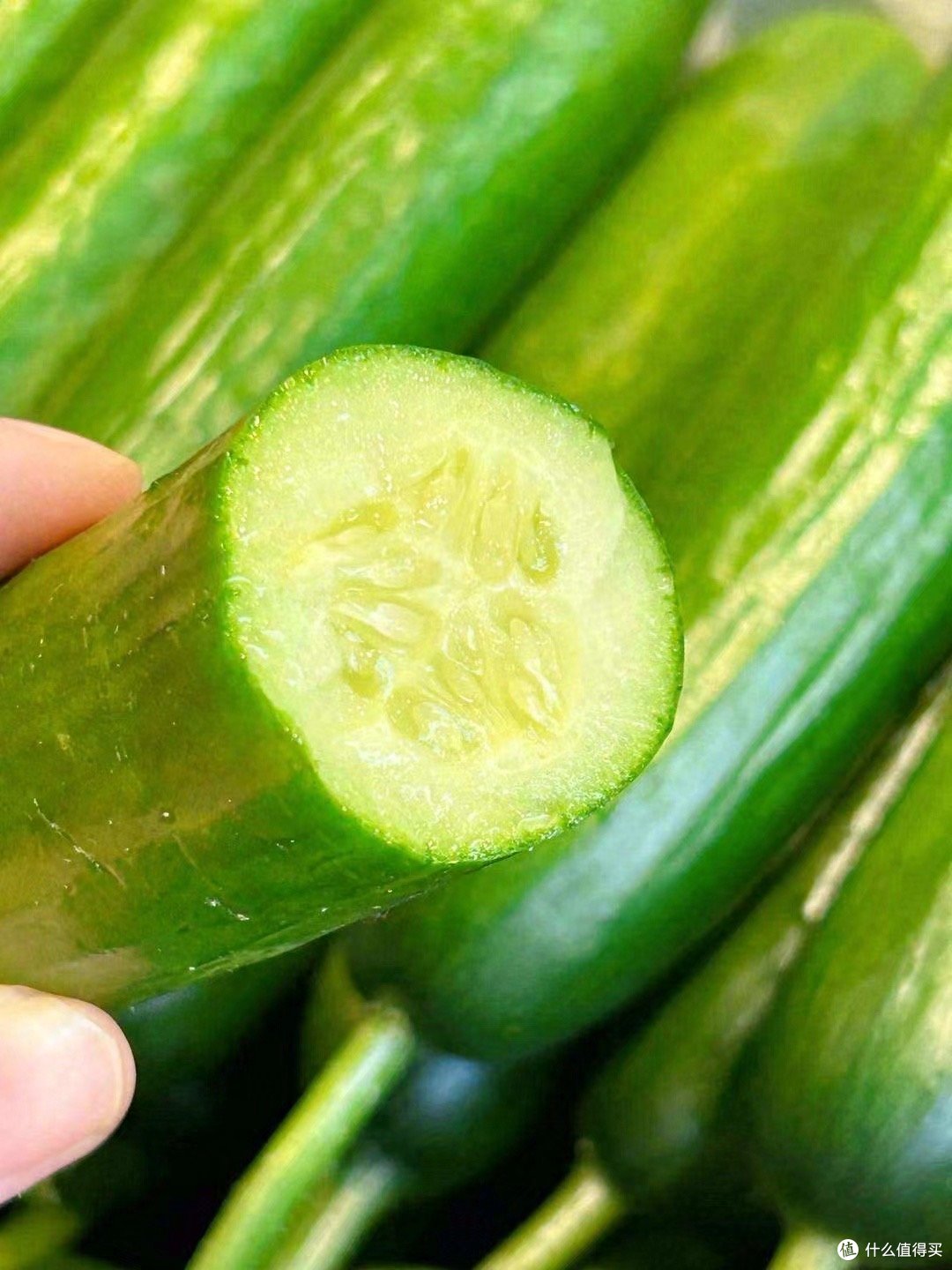 夏日减脂必吃水果黄瓜